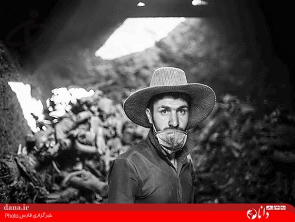 گزارش تصویری/کارگاه تولید زغال