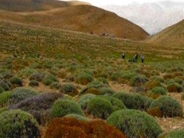 محدودیت منابع آبی و عدم تعادل در برداشت آب از مهمترین چالش های پیش روی منابع طبیعی در جوین است