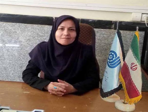 آموزش مهارت های فنی و حرفه ای به 270000 نفراز بانوان ملایری
