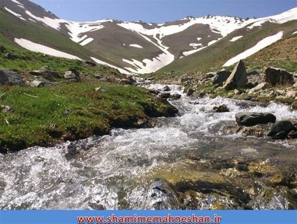 اردیبهشت بهترین زمان برای سفر به طبیعت علم کندی است/ قارقالان و زیبایی های آن در اردیبهشت+تصاویر