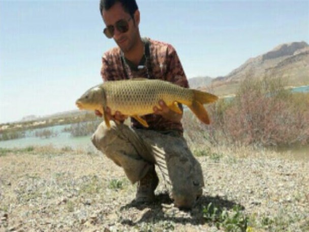 گردشگری ورزشی، پدیده ای قابل توسعه در دلیجان