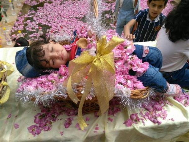 برگزاری آئین گل غلتان در خاتم/ رایحه محمدی بر تن گلهای زندگی