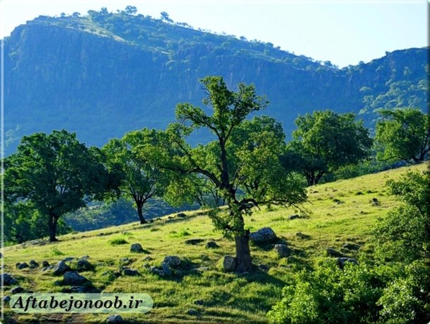 رود رونه بهشت گمشده ای در جنوب ایران + تصاویر