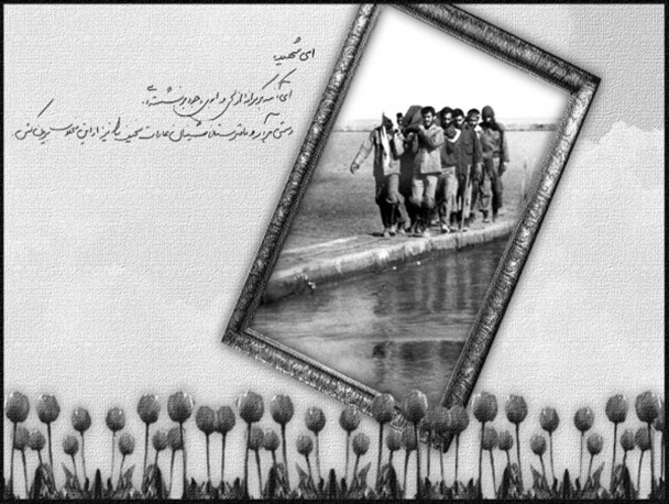 معرفی شهدای پلدشت