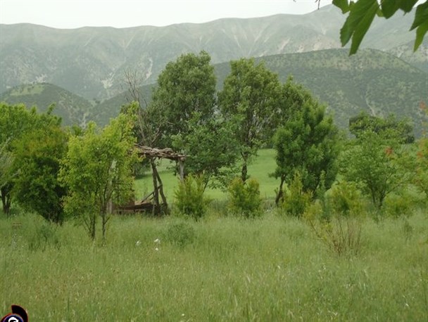 مناظر زیبای بهاری روستای "گنداب" در شهرستان جوانرود