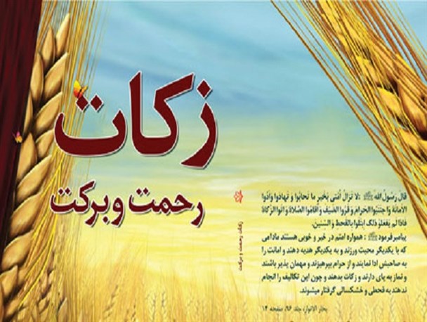 طرح تشکیل شورای زکات در روستاهای استان بوشهر آغاز شد