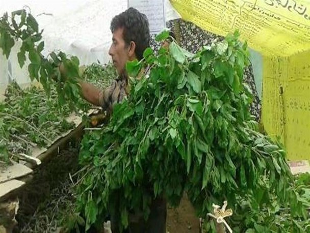 نوغانداری صنعت اشتغالزا برای مردم رامیان+تصاویر