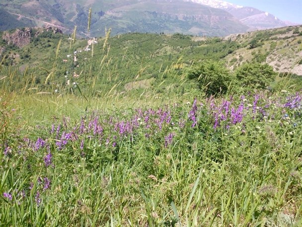 آخرین روستای گیلانی اشکورات کجاست؟+تصاویر بهاری