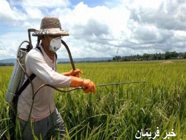 اجرای عملیات مبارزه با «پوره سن» در فریمان