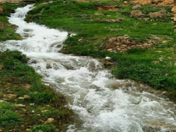 تصاویری زیبا از طبیعت بهاری شهرستان سنقروکلیایی