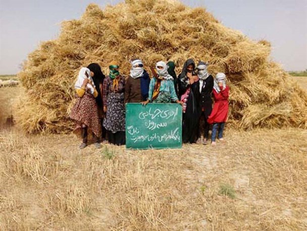 دختران آفتاب به یاری کشاورزان شتافتند/برگزاری اردوی جهادی۳ روزه توسط خواهران بسیجی