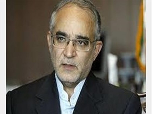 مصری: چیزی به عنوان برگشت لایحه نداریم/ لایحه مناطق آزاد یا رای می آورد یا رد می شود