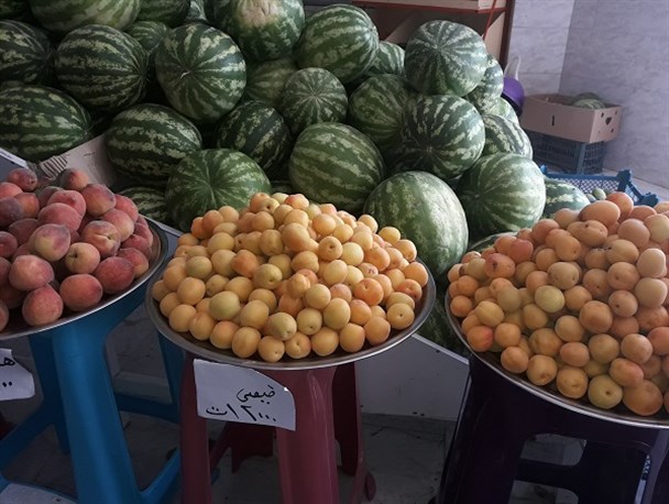 قیمت بالای میوه فصلی در رودان/ نیاز به ساخت میدان تره بار برای عرضه مستقیم میوه در این شهرستان