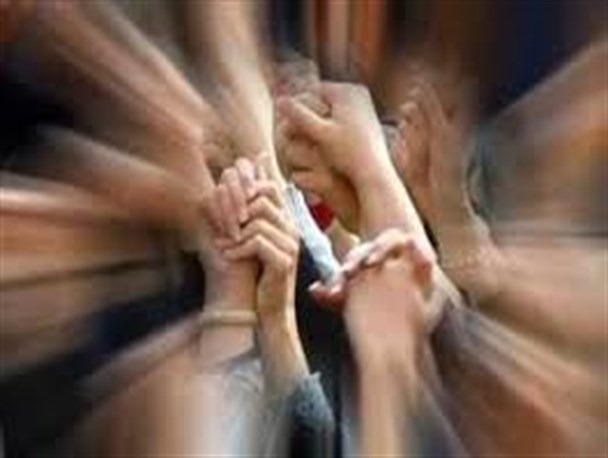 طلایه داران وحدت، شیخ محمود شلتوت