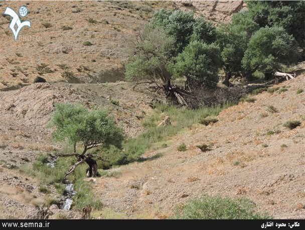 طرح بازگشایی جاده اصلی روستای خینه افتتاح شد