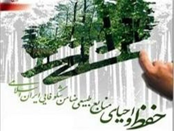 دولت به تنهایی نمی تواند از منابع طبیعی و محیط زیست حفاظت کند/ لزوم فرهنگ سازی و استفاده از توان سمن ها