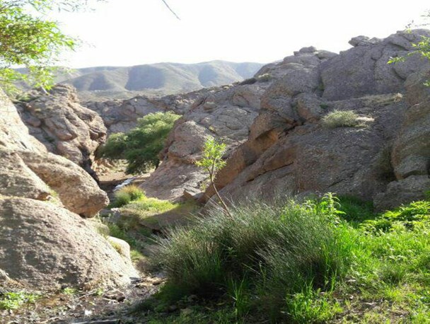 ۲۷۰ نقطه گردشگری در رشتخوار آماده استقبال از مسافرین