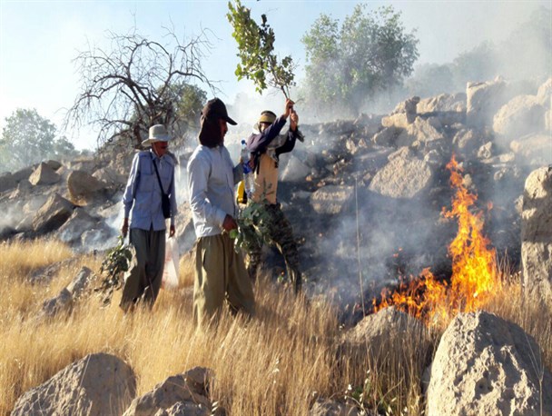 دو آتش سوزی در یک ساعت در شهرستان بویراحمد گزارش شده است/ ۱۵هکتار از مزارع فیرزآباد در آتش سوخت