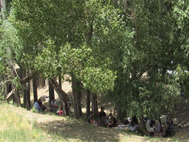 طبیعت خطّه بلند ایران زمین، میزبان گردشگران تیرماه تابستان+ تصاویر