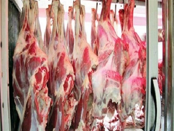 ۵۰ درصد مصرف دام سنگین در کرمانشاه از استان‌های دیگر تأمین می‌شود