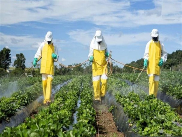 سود تولید محصولات کشاورزی ناسالم به جیب چه کسانی می‌رود؟/ زنگ خطر افزایش محصولات کشاورزی ناسالم به صدا درآمد