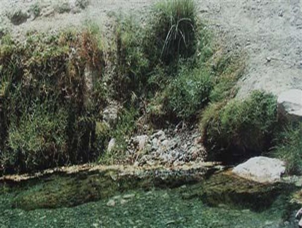 چشمه های آب گرم حاجی آباد پذیرای مسافران تابستان