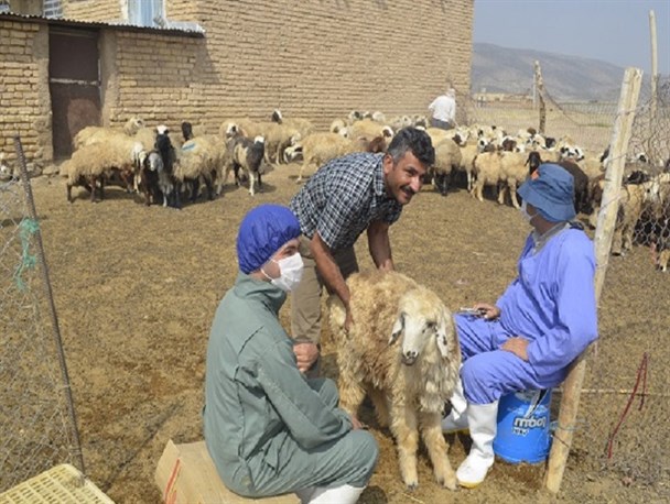 واکسیناسیوندام در برابر طاعون در پاسارگاد آغاز شد