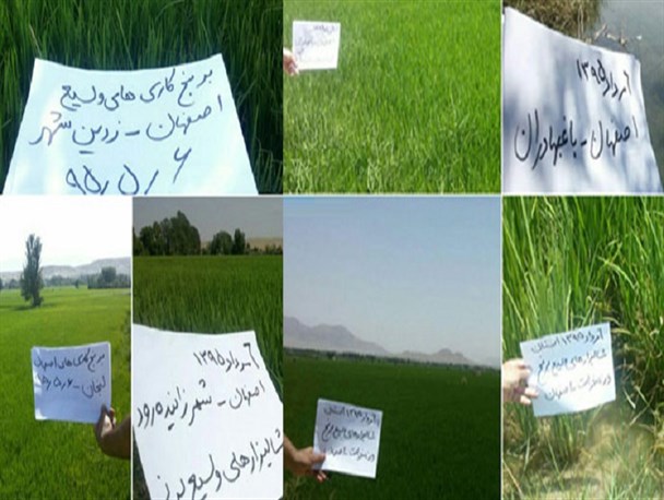 انتقال آب کارون به نام آشامیدن به کام برنجکاران اصفهان+تصاویر