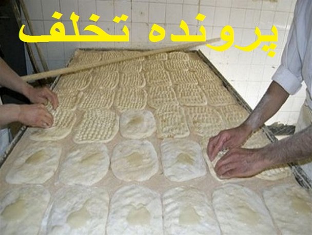 تشکیل 14 پرنده تخلف 12 میلیون ریالی برای خبازی های شهرستان دلگان