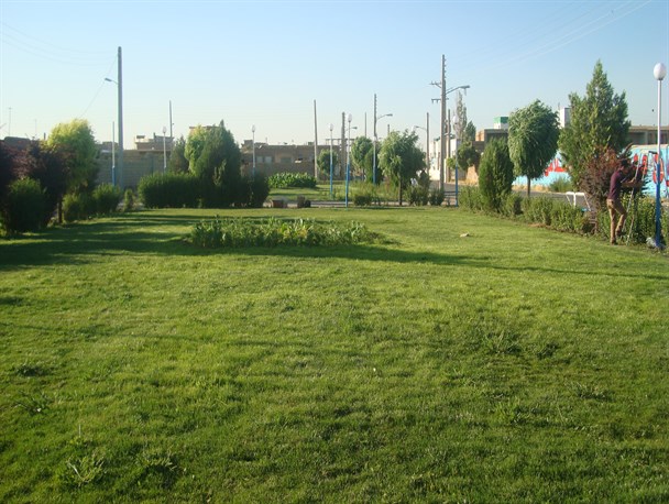 کمبود آبی و نبود زمین مهمترین مشکلات ایجاد سرانه فضای سبز در بوشهر است