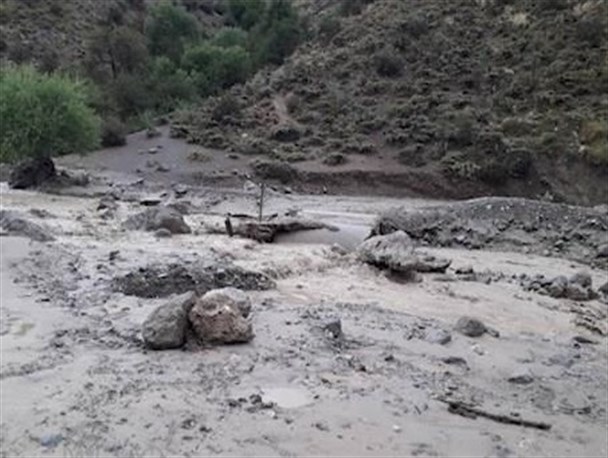 خسارت سیل به کشاورزان در کهگیلویه‌وبویراحمد/ آیا سیل تلفات جانی داشت؟