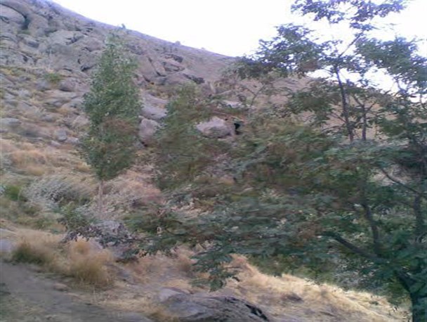 همه چیز درباره کوه افشار در تویسرکان+تصاویر