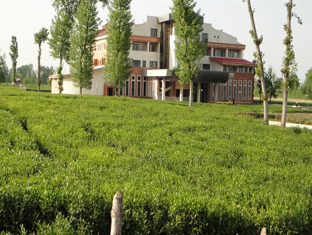 زمین خواران به جان مناطق توریستی تبریز افتادند/ وقتی قانون یارای مقابله با ویلاسازی را ندارد