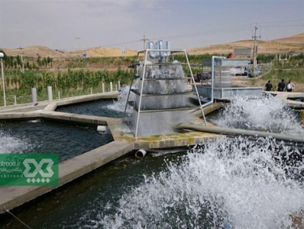 افتتاح یک واحد مزرعه مکانیزه پرورش ماهی سردآبی قزل آلا در هشترود +تصاویر