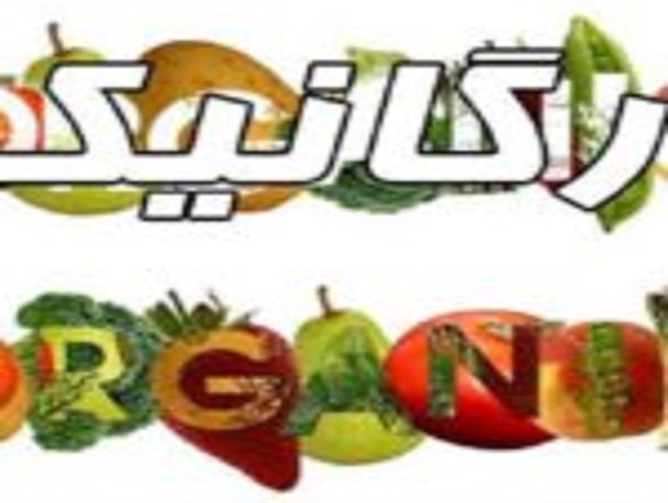 محصولات ارگانیک دانشجوی کرمانی در راه بازار روسیه