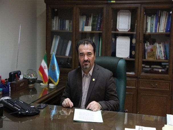 چابکی فعالیت های دولت از طرح استقرار سامانه پرداخت الکترونیکی