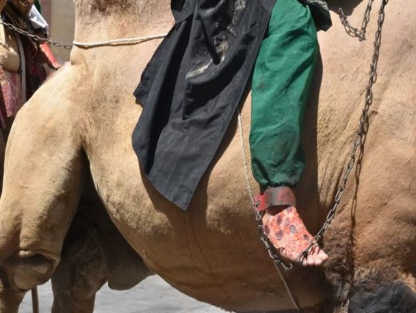 تصاویری از حرکت کاروان نمادین اسرا در قم
