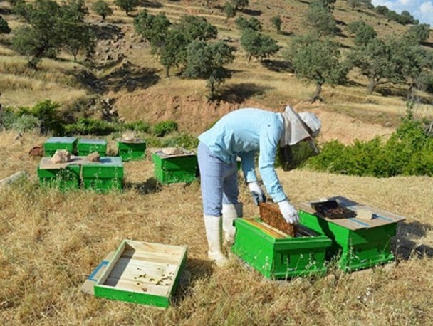 پرداخت تسهیلات ۸۰ میلیاردی بنیاد برکت به ۶ روستا در خلیل آباد