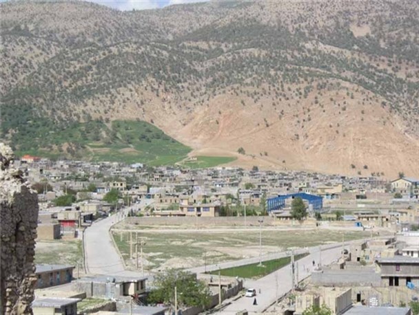 دختر 13 ساله دیشموکی بر اثر سقوط از درخت جان خود را از دست داد