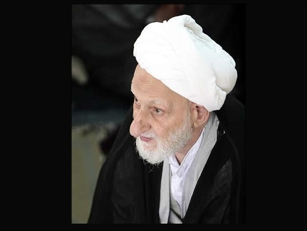 وقتی ایت‌الله بهجت آل‌سعود را خوک و میمون خطاب میکند!+فیلم