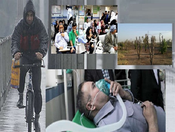 جان دادن پوشش گیاهی خوزستان پای احتمالات /کونوکارپوس خرج سردرگمی مدیران شد