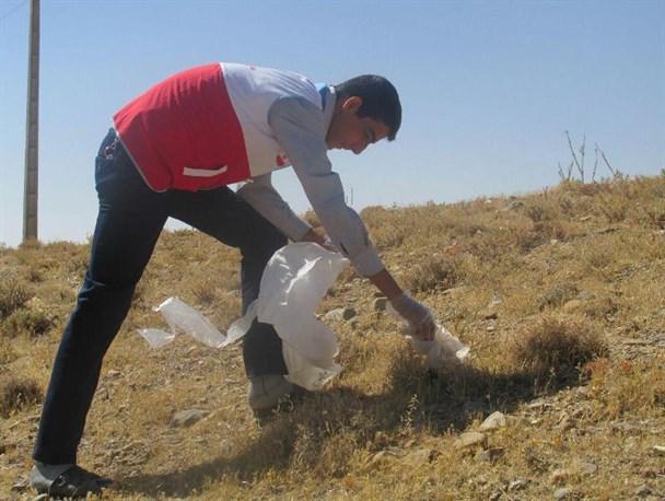 پارک جنگلی کوهستان آشتیان از زباله پاکسازی شد
