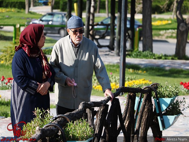 سالمندان در پیرترین استان کشور