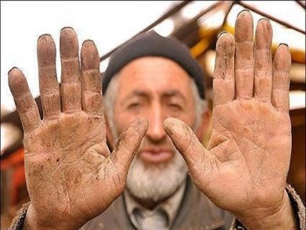 حاصل‌هایی ضربدر هیچ/کشت‌هایی که برداشت نمی‌شود