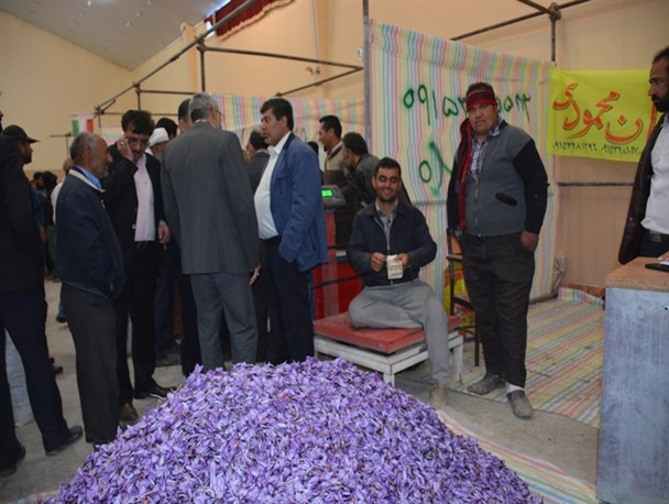 سود میلیاردی زعفران، به‎نام کشاورزان به‎کام دلالان