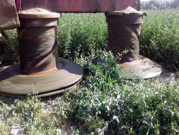 مراحل کاشت و برداشت مکانیزه یونجه از سطح ۳ هزار هکتار اراضی خاش+تصاویر