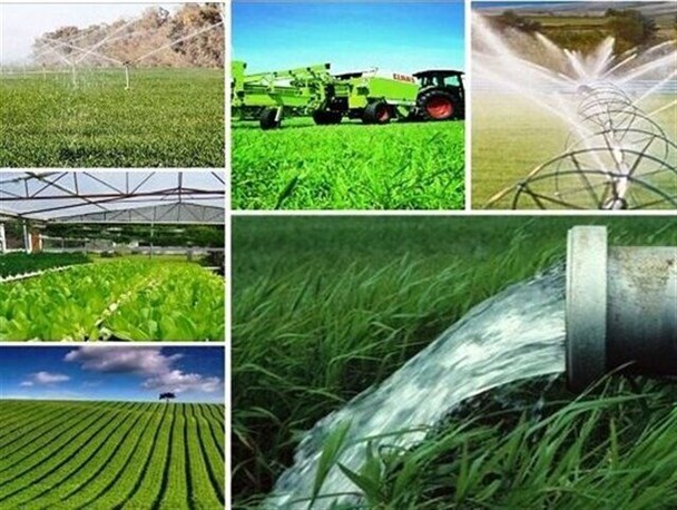 ۹۰ درصد تسهیلات اشتغال پایدار روستایی صرف حفظ اشتغال موجود بخش کشاورزی شد