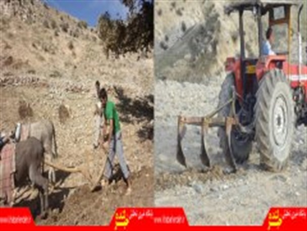 شخم زدن مزارع کشاورزی با دو شیوه صنعتی و سنتی در شهرستان لنده