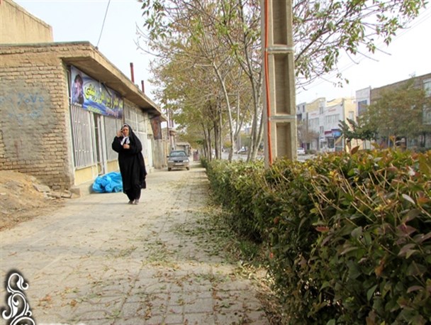 خلوت پاییز در کوچه پس کوچه های شهر+تصاویر