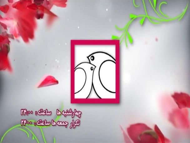 آموزش مهارت های جنسی برای همسران در تلویزیون